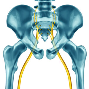 X-ray view of sciatic nerve