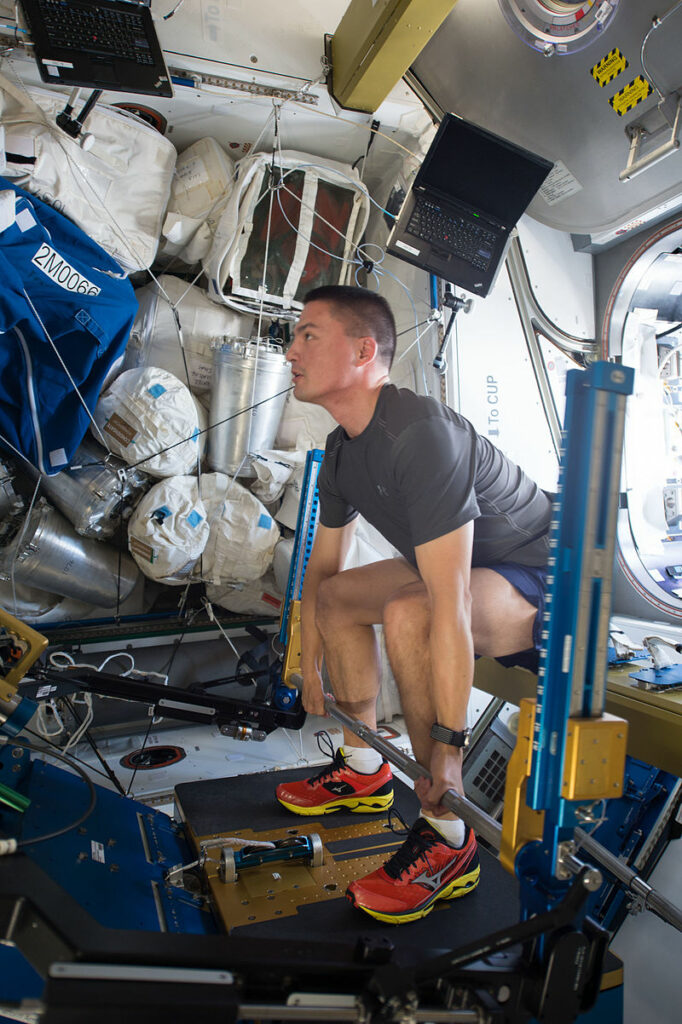Astronaut using ARED system to maintain strong bones